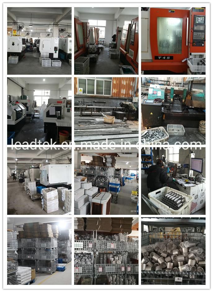 Ss Stainless Steel Male Hex Drain Plug Manufacture