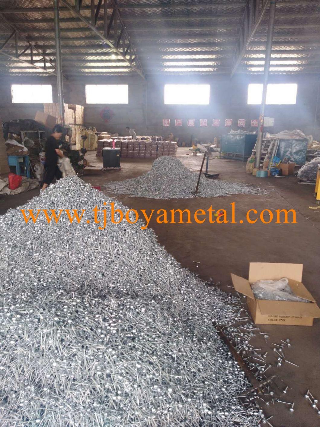 Bolivia Market Calamina Clavos Galvanized Umbrella Head Roofing Nails for Building and Construction