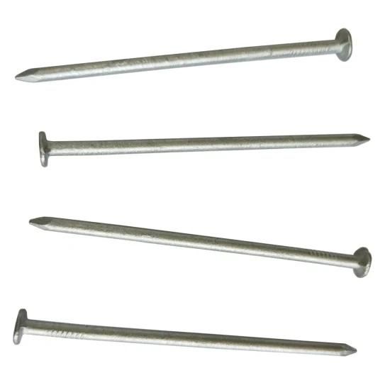 Harden Common Round Iron Wire Nail