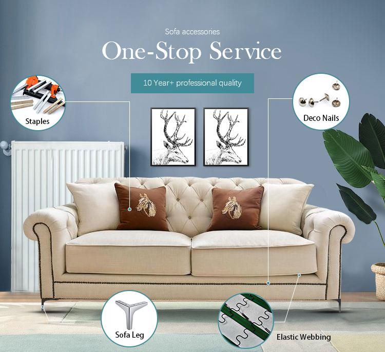 High Quality Metal Steel Fasten Screws Furniture Accessories