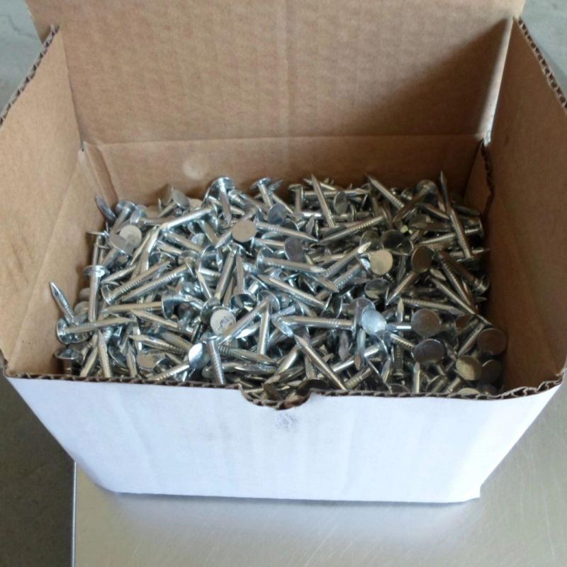 Ring Shank Steel Wire Common Nails with Factory Price