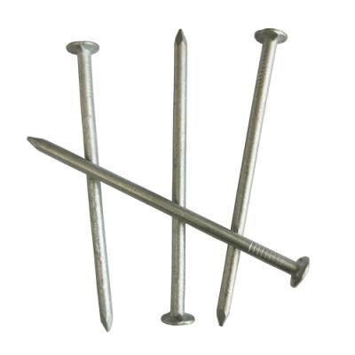 Hot Sell and Polished Metal Iron Nail/Construction Wood Nail/Cheap 1inch2 Inch 3inch Common Wire Nails
