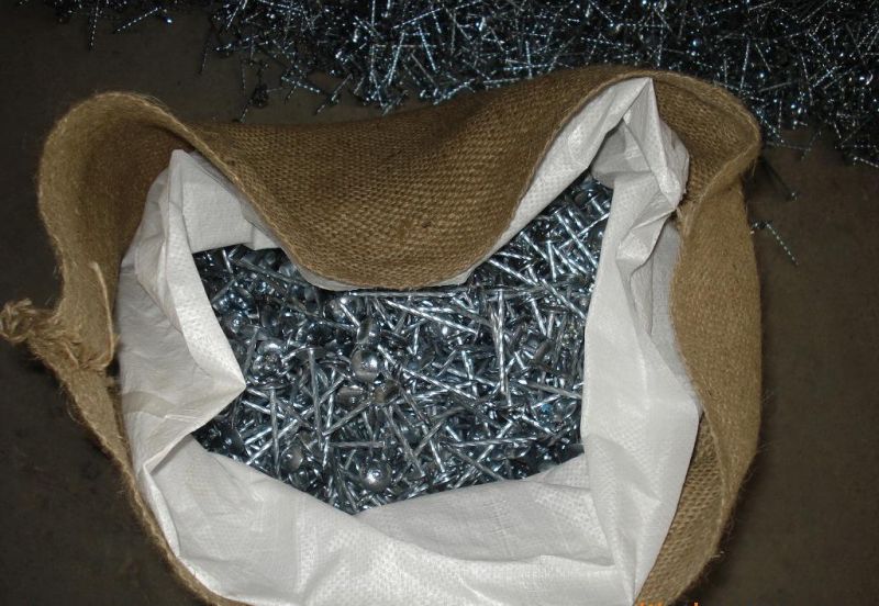 Electro Galvanized Roofing Nail with Spiral Shank in Material Q195