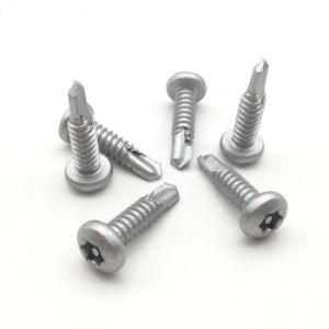 Satinless Steel Drilling Screw for Pan Head Torx Drive