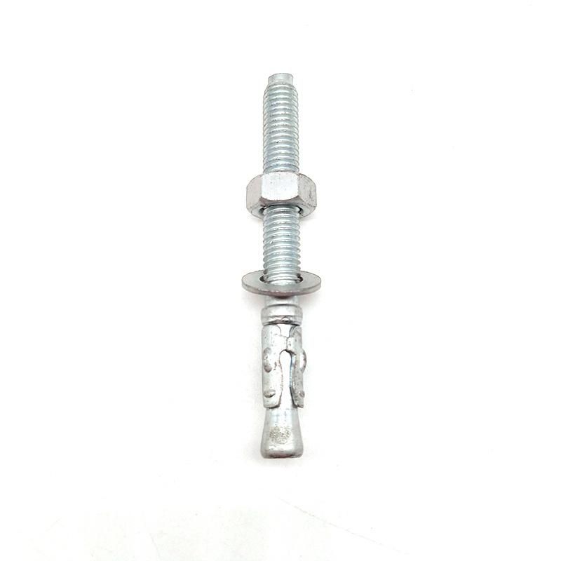 Stainless Steel 304/316 Wedge Anchor / Through Bolt