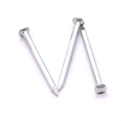 Myanmar Vietnam Philippines Singapore Market/Durable Using Boat Nails Copper Nail for Boat Galvanised Boat Nails