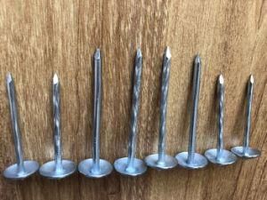 China Supplier Roofing Nails with Umbrella Head