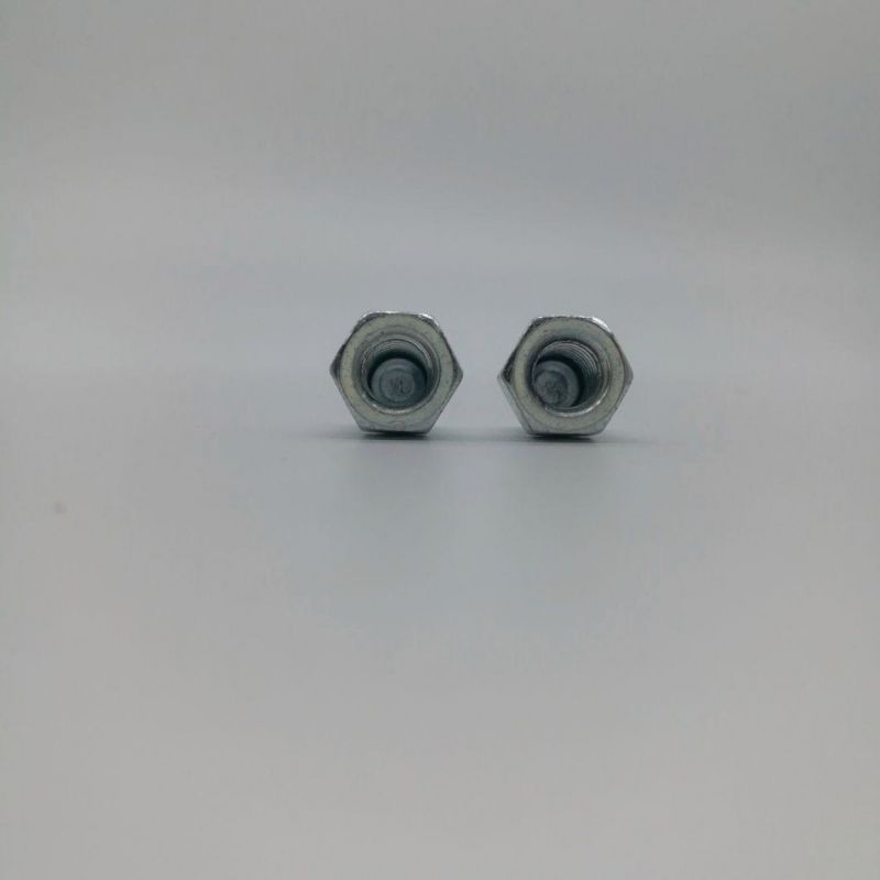 Stainless Steel Hex Head Cap Nut/Round Head Nut