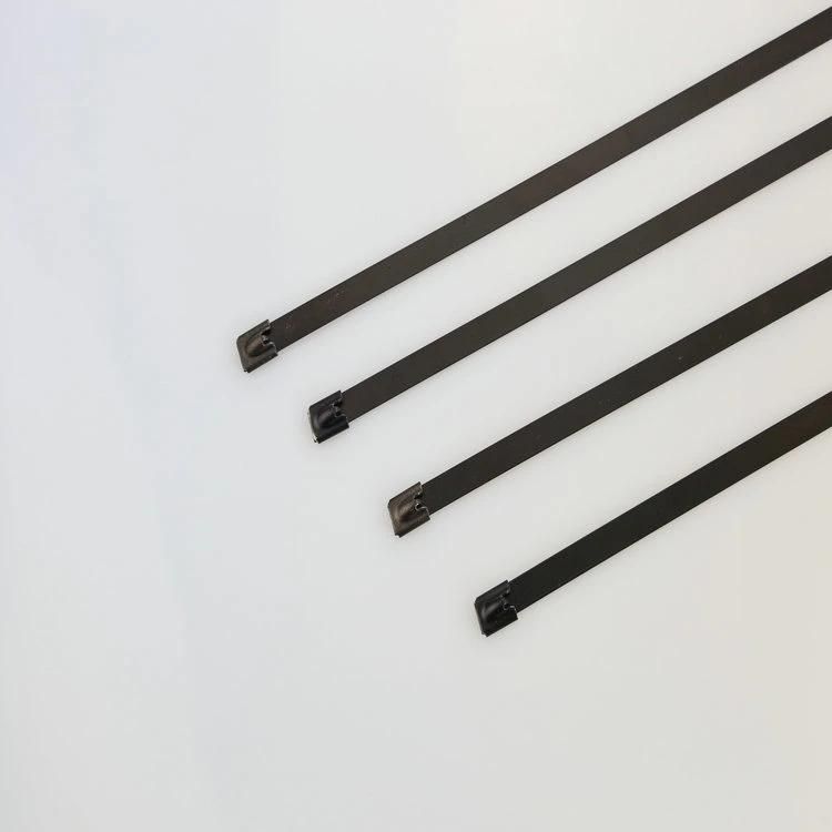 New Design Custom 4.6*550mm Releasable Spray Plastic Stainless Steel 304 Cable Tie