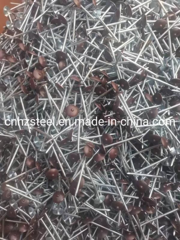 China Factory Price Iron Nail / Electro Galvanized Umbrella Head Roofing Nail