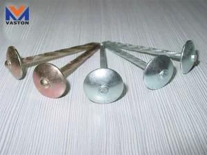 Galvanized Umbrella Head Roofing Nail