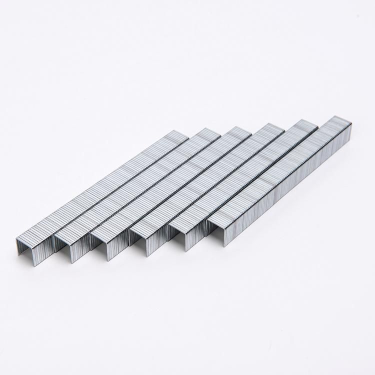 Galvanized Staples 80 Series Staples for Furniture Industry