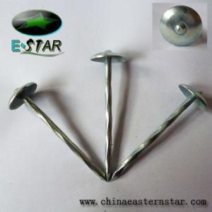 Galvanized Roofing Nail
