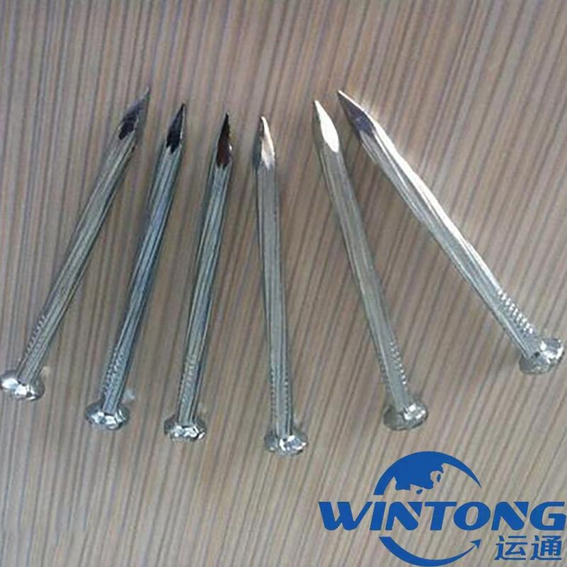 Galvanized Concrete Roofing Nails Wire Nail with High Quality and Competition Price Stainless Steel Nails in China