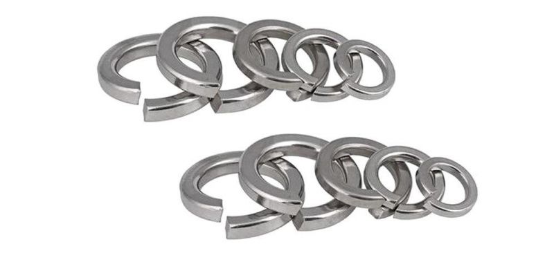Fastener Galvanized Zinc Black Plain DIN127 Spring Lock Washer