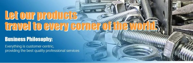 Stainless Steel SS304 316 A2-70 A4-80 DIN 7504 Self-Drilling Screws/Sheet Metal Screws/ Self-Tapping Screws/ Machine Screw/Chipboard Screw/ Drywall Screw