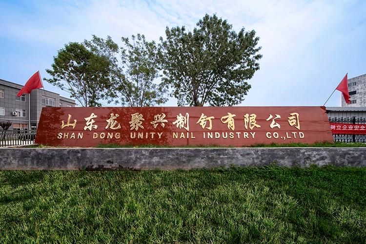 Wooden Frame House Fence Coil Nails Factory Sell Nails High Quality Low Price Better Service
