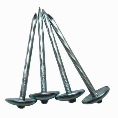 Galvanized Screw Shank Umbrella Head Cap Roofing Nail