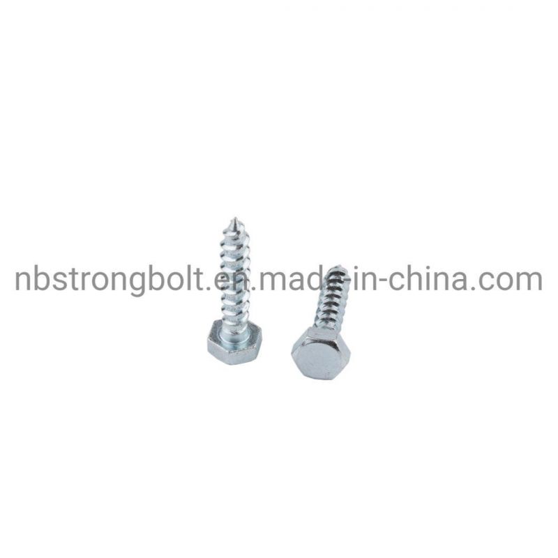 Hex Lag Screw with Zinc