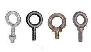 Made in China OEM ASME/ANSI Eye Bolt