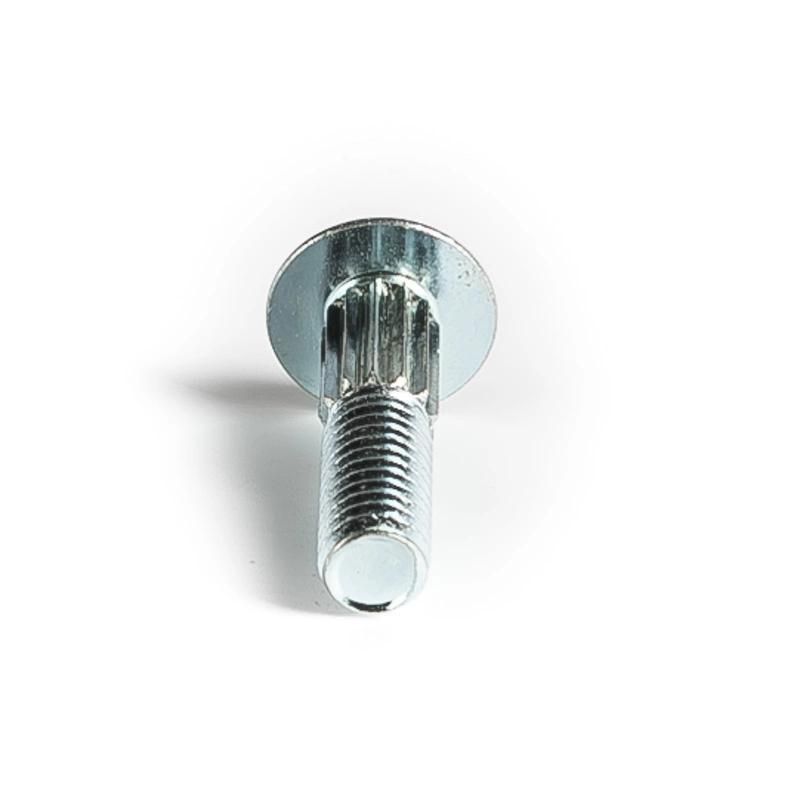 China Stainless Steel Carriage Bolt (SS304 SS316)