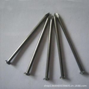 Top Quality Concrete Nails on Sales