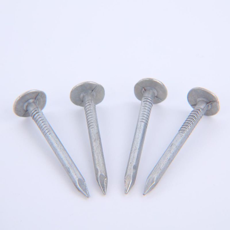 Hot Diping Clout Roofing Nails