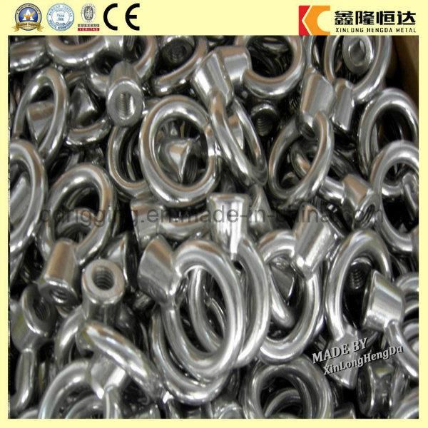 Drop Forged Galvanizing Marine Lifting Rigging DIN580 Eye Bolts