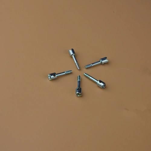 Cheese Screw Torx Bit Self Tapping Screw/Torx Bolts