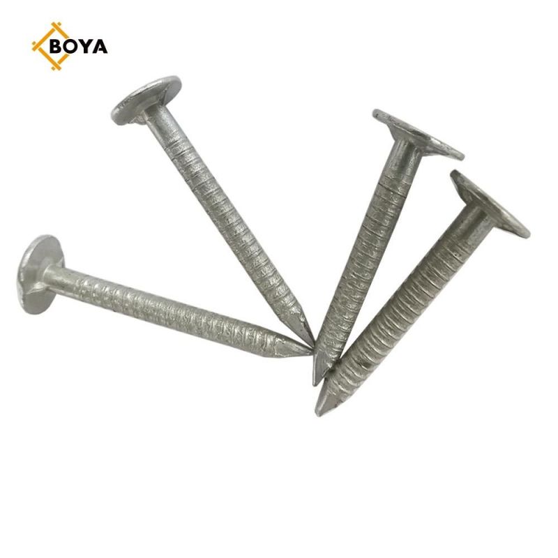 Hot Sale Ring Nail with Competitive Price