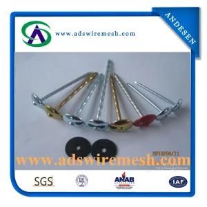 Umbrella Head Galvanized Roofing Nail with Washer (ADS-RN-4)
