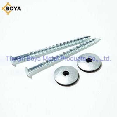 China Manufacturing Galvanized Assembled Roofing Nail with Cheap Price