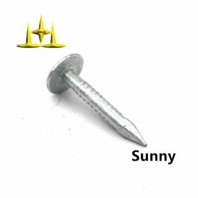 50mm Galvanised Clout Nails 15kg Bulk Eg 2&quot; Clout Nails Smooth Shank Diamond Point Big Head Clout Nails