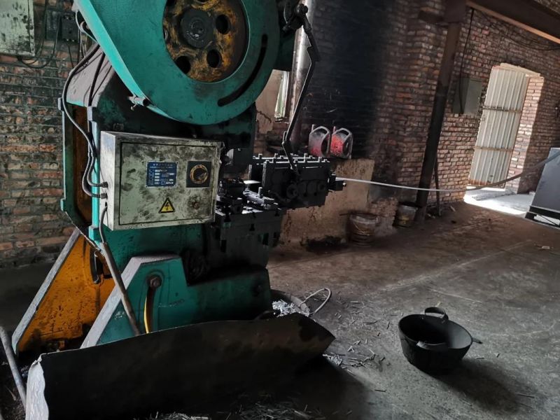 Factory Direct Hot Dipped Galvanized Duplex Head Nail