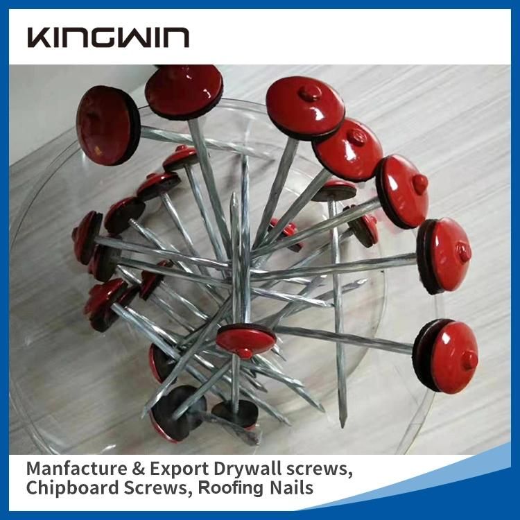 China Wholesale Galvanized Smooth / Twisted Shank 9bwg X 2.5"10bwg X 2" 12bwg 7lbs 8boxes 3.125kg / Box Umbrella Head Roofing Nails