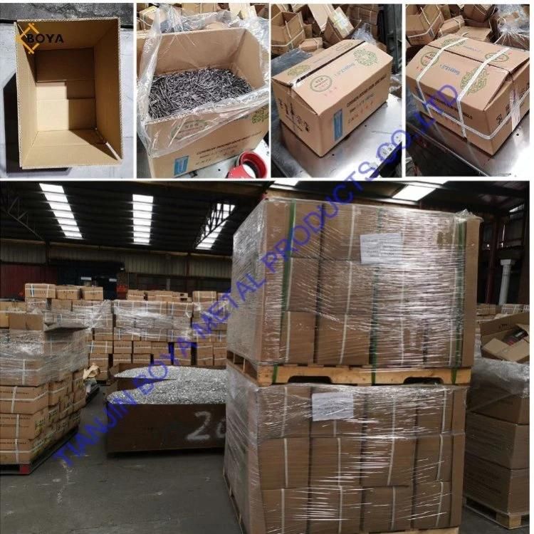 Common Nail/Building Nail/Wire Nail/Construction Nail/Iron Nail/Steel Nail/Hardware Nail