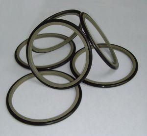 Various Size Polytetrafluoroethylene Glyd Ring