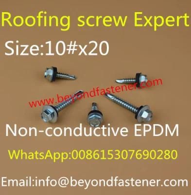 Roofing Screw Expert Self Drilling Screw