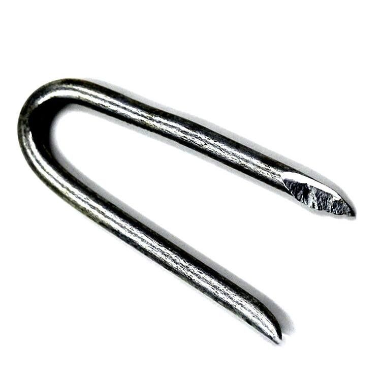 Hot Dipped Gi Silver White U Type Common Nail Steel Nail