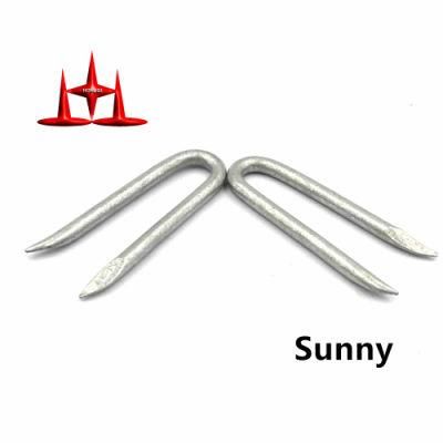 Electro Galvanized Stainless Steel U Nails Q195 Q235 for Farm Fence 4-14mm Fence Staples Galvanized U Type Nail