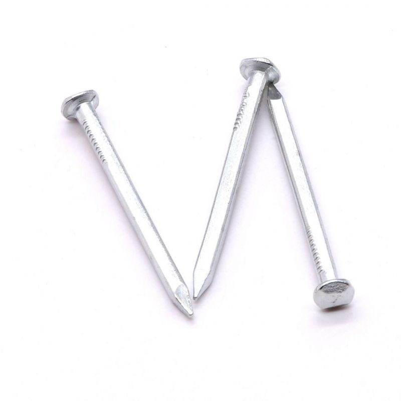 Vietnam Philippines Singapore Market/Worth Buying Galvanized Square Boat Nails Galvanized Nails for Wood Boat Building
