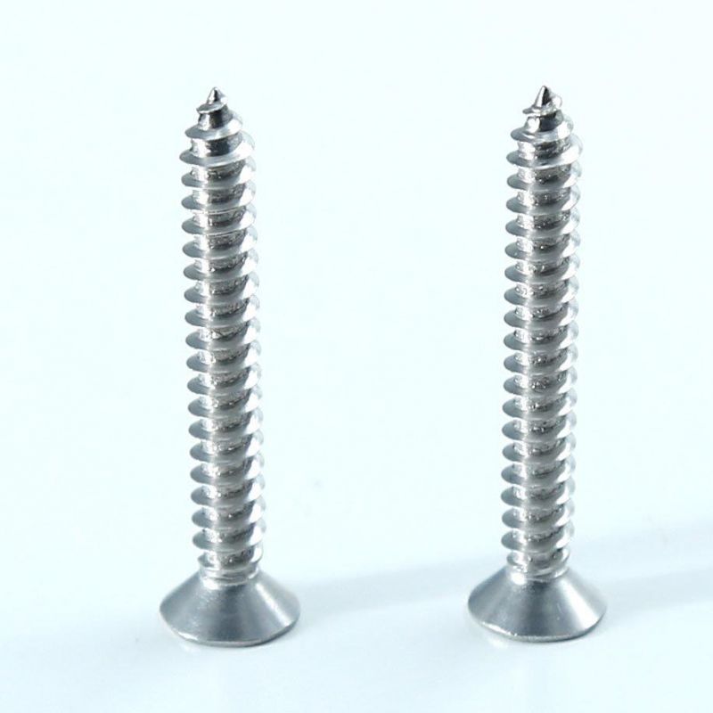 SS304/SS316 Torx Drive Flat Head Self Tapping Screw