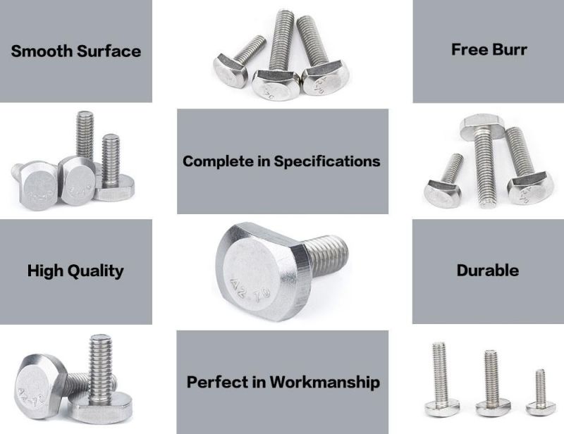 JIS B1182 Stainless Steel T Bolt M5 M6 Square Head Bolt Square Bolt 304 Square Bolt 316 Wing Bolt Factory Price Eye Bolt Knurled Bolt U Bolt Made in China