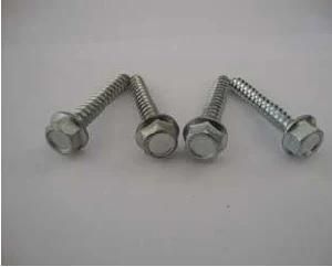 Screw/Hot Sales Hex Head Zinc Coated Self Tapping