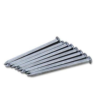 Galvanized Square Boat Nail Carbon Steel Nail Wholesale Cheap Price
