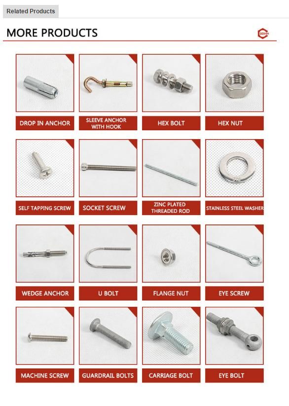SS304 M8 Dome Bolt