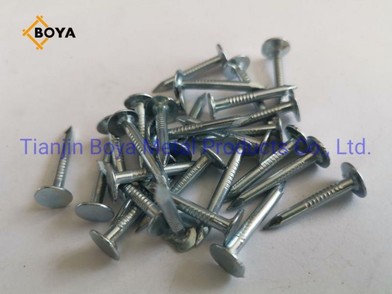 China Nails Factory Top Quality Clout Head Zinc Coated Cupper Nails