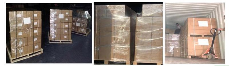 Ss 304 American Type Hose Clamp