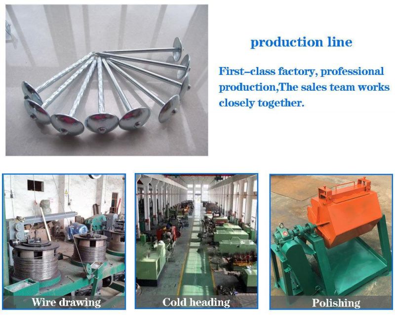 Grade Galvanized Steel Screw Bolt & Nut Concrete /Wholesale Collated Roofing/ Moulding Insulation/Nails