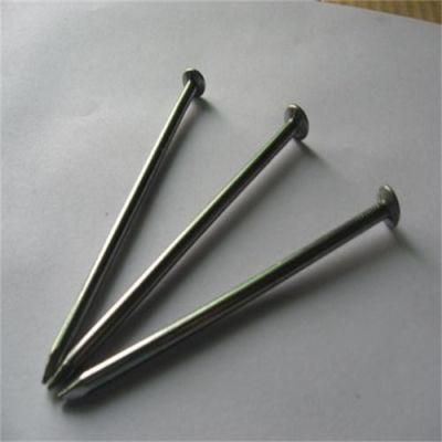 Common Iron Nail Processing Building Nail Template